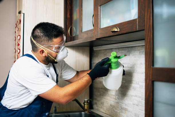 Best Residential Pest Control  in West Bend, WI